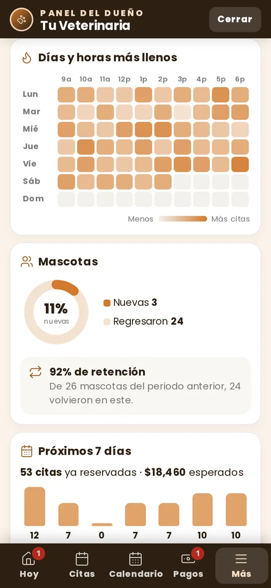 Mapa de calor de días y horas, y clientes nuevos contra recurrentes